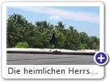 Die heimlichen Herrscher ber die SI...