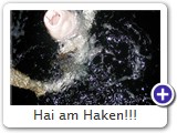 Hai am Haken!!!