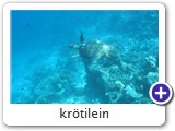 Krtilein