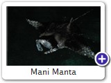 Mani Manta
