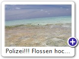 Polizei!!! Flossen hoch!!!