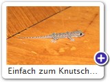 Einfach zum Knutschen...!