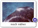 noch nher