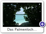 Das Palmenloch...