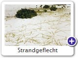 Strandgeflecht