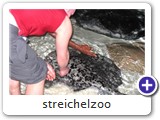 streichelzoo