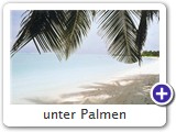 unter Palmen